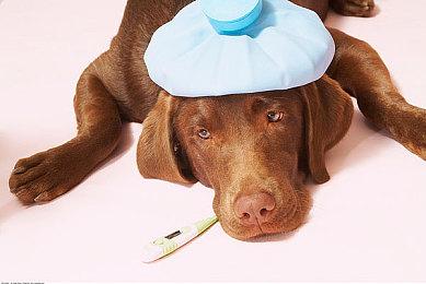 2023年12月Xbox Series X|S与前代主机生涯销量对比